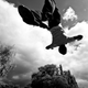 Image for article titled Shooting Challenge: 1/1000 Gallery 2